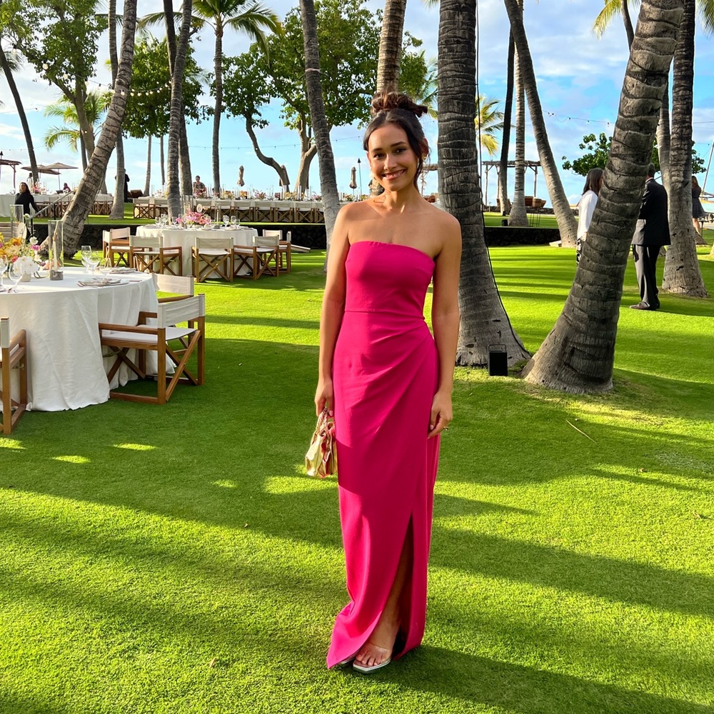 Lucinda NBD pink gown